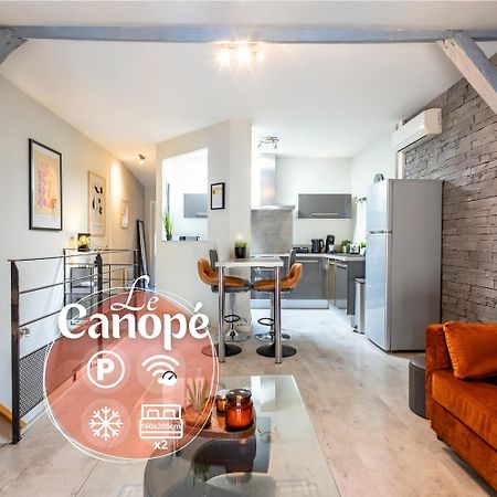 Le Canope - T3 Duplex, 2 Salles D'Eau, Hypercentre Castres  Eksteriør billede