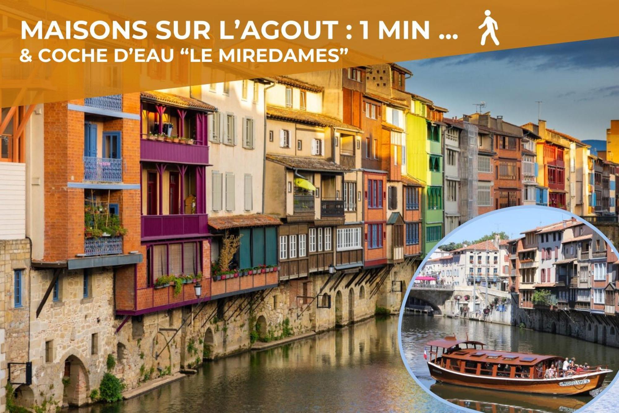 Le Canope - T3 Duplex, 2 Salles D'Eau, Hypercentre Castres  Eksteriør billede