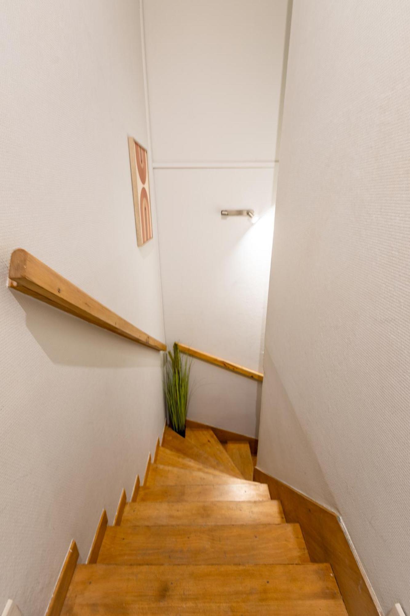 Le Canope - T3 Duplex, 2 Salles D'Eau, Hypercentre Castres  Eksteriør billede