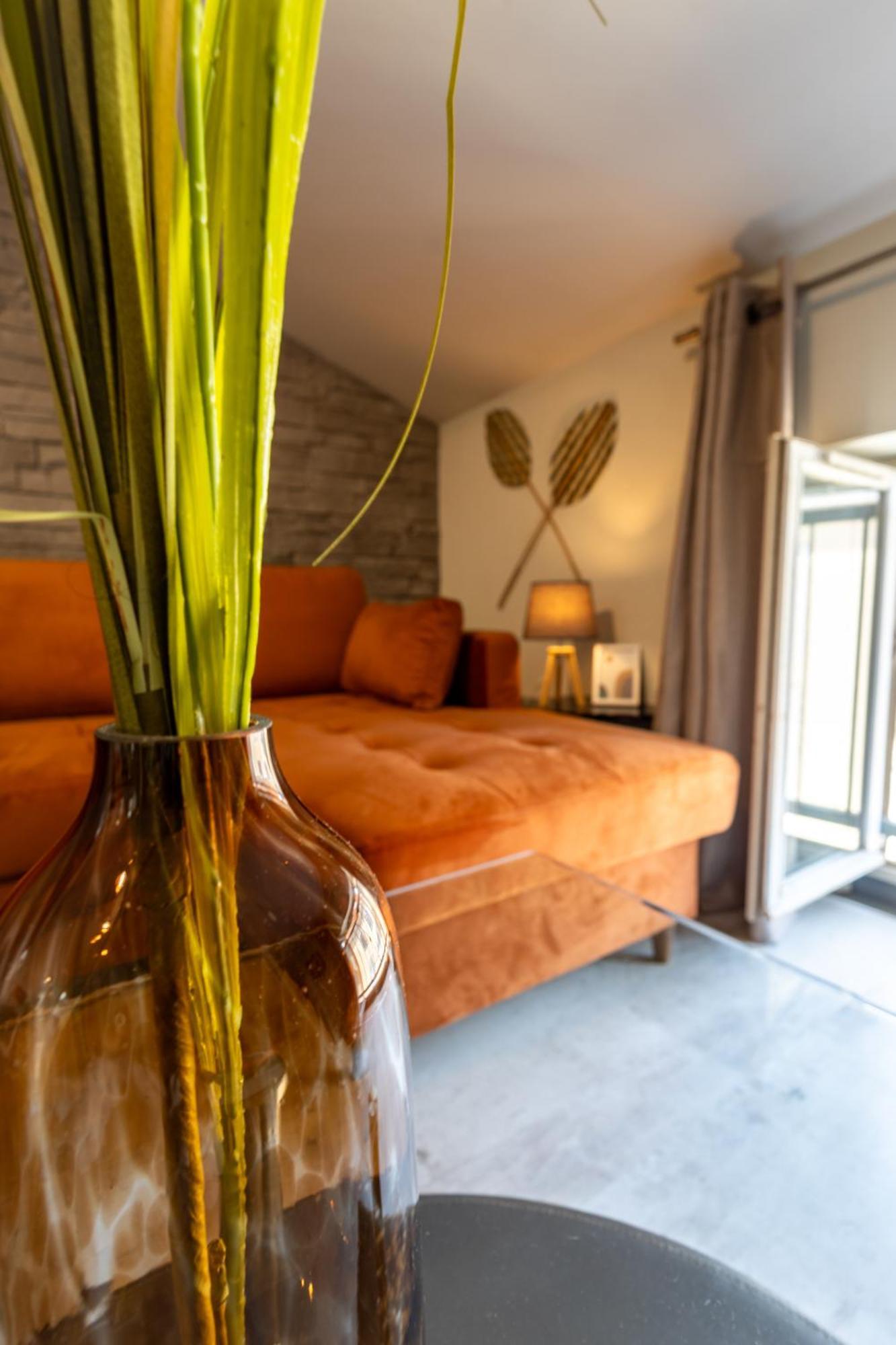 Le Canope - T3 Duplex, 2 Salles D'Eau, Hypercentre Castres  Eksteriør billede