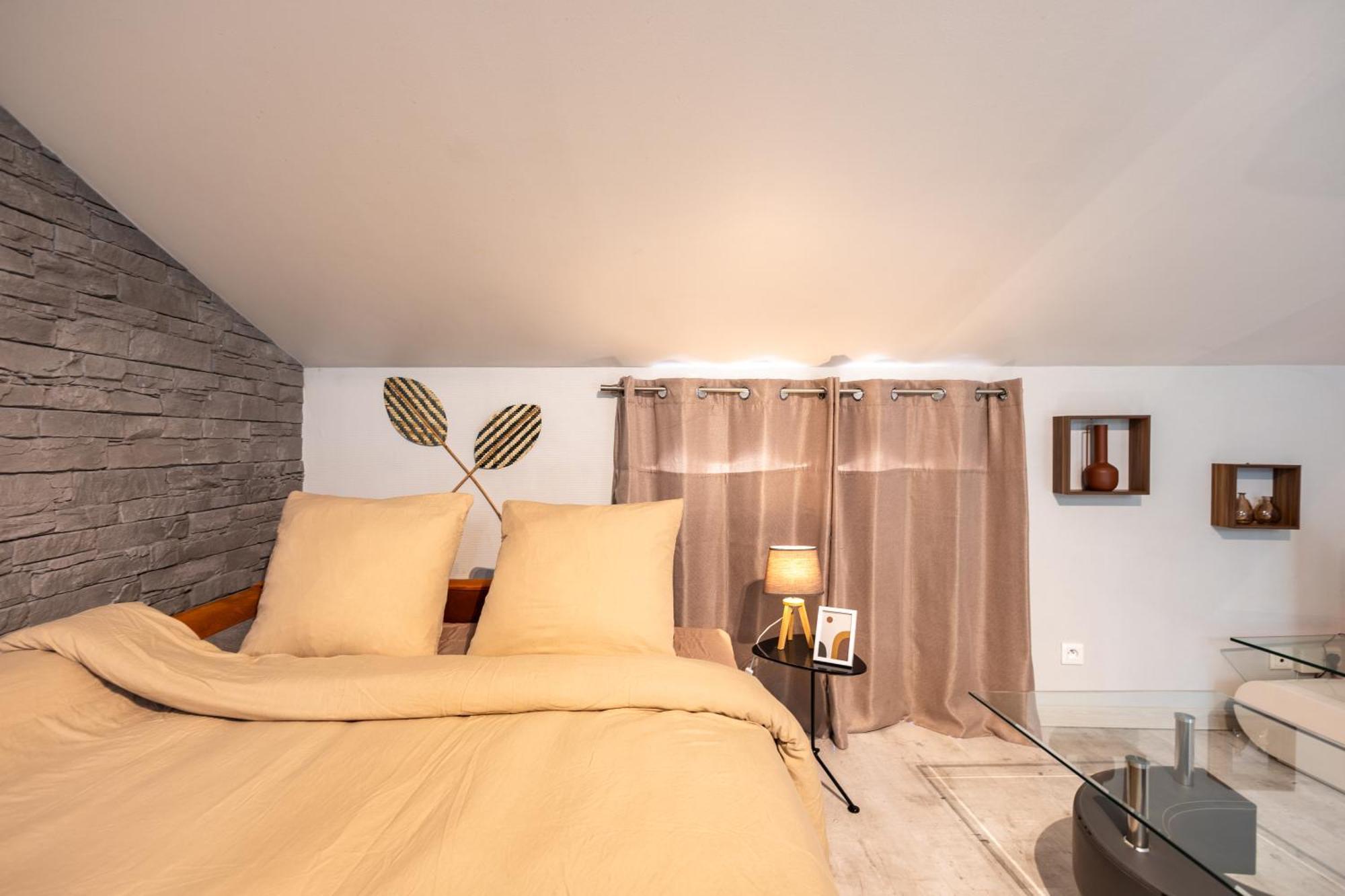 Le Canope - T3 Duplex, 2 Salles D'Eau, Hypercentre Castres  Eksteriør billede